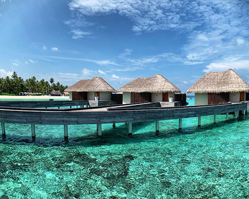 How to Win at Health: The 8 Essential Pillars You Can’t Ignore by Peter Wins