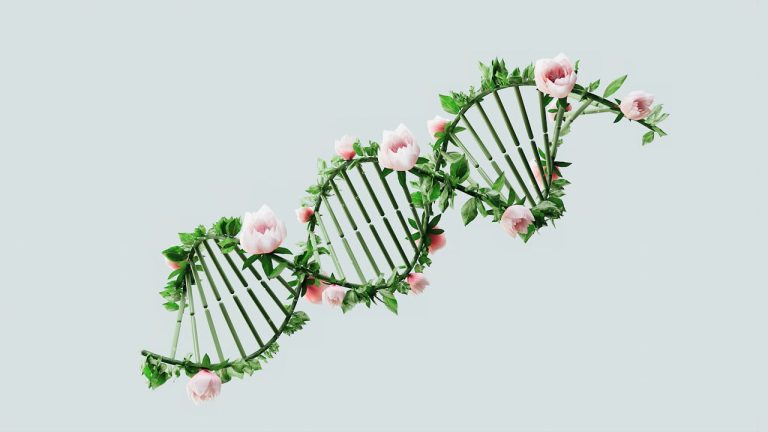 Are You Attracted to Certain Genes? The Science of Love & DNA